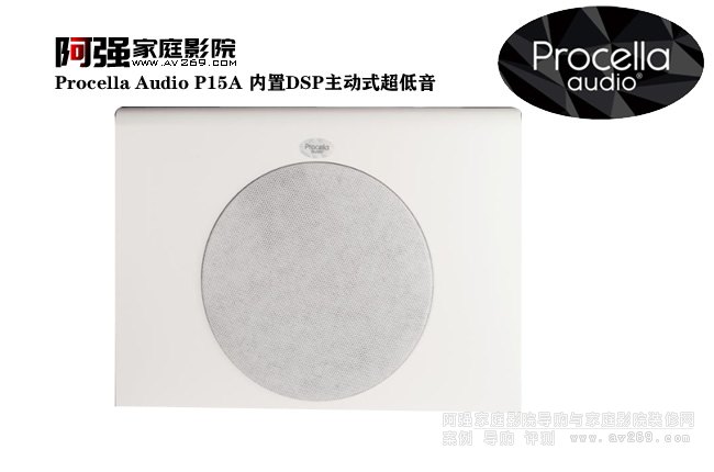 Procella Audio P15A (ni)DSP(dng)ʽ