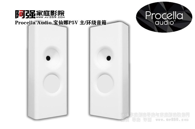 Procella Audio P5V ڒ/h(hun)@