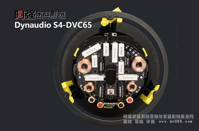 ö Dynaudio S4-DVC65